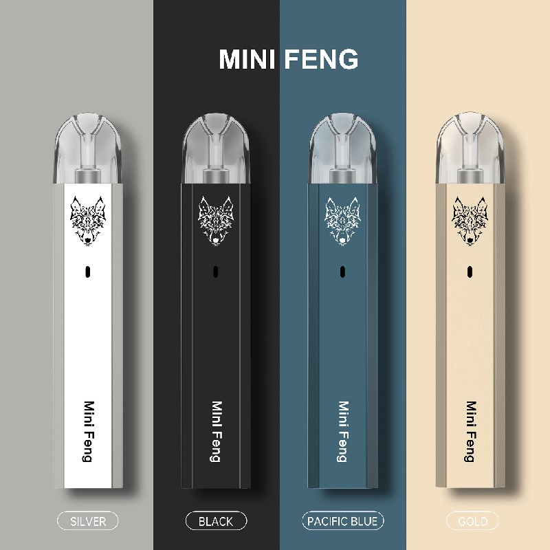 Mini Feng